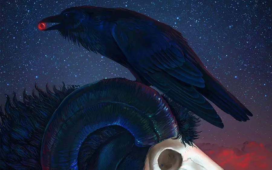 Crow Profile Photo for Social Media Accounts