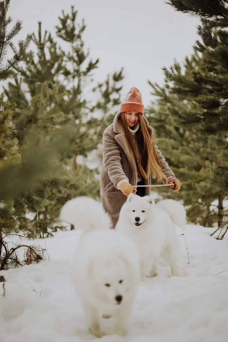 Fluffy dog with pretty girl profile picture captivating
