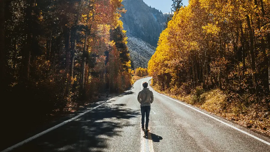 Wallpaper Of Lonely Boy On Beautiful Autumn Road