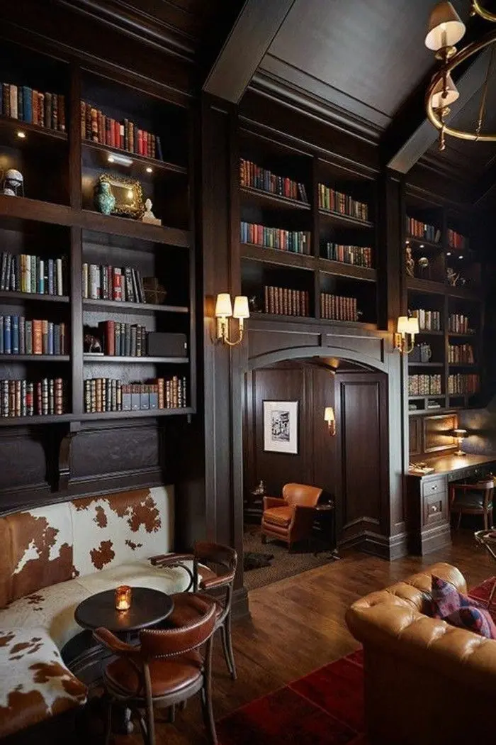Luxury Large Library Photo