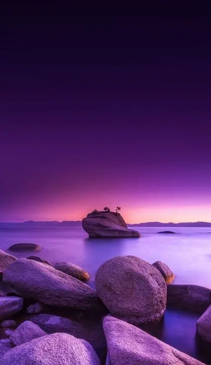 High-Quality Purple Nature Wallpaper