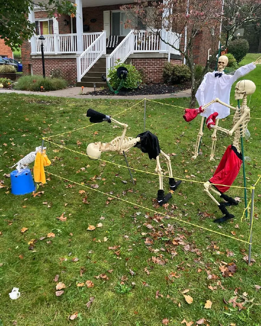 High Quality Realistic Boxing Skeletons Photo For Fans