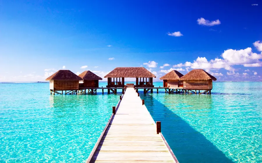 Interesting Maldives Island Photo With Scenic Views