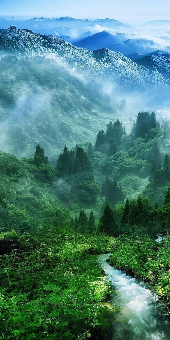 Dreamy Nature Wallpaper for a Calming Effect
