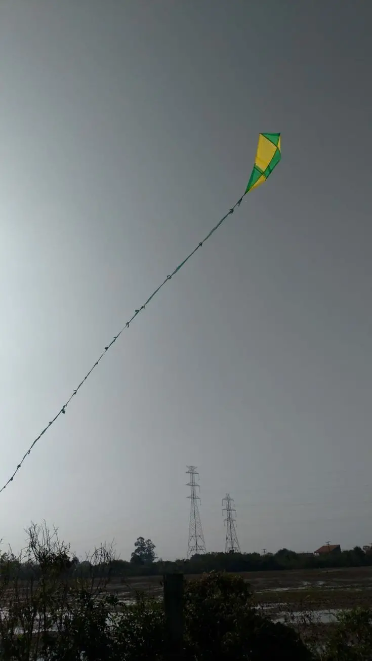 High Quality Kite Photo for International Kite Day
