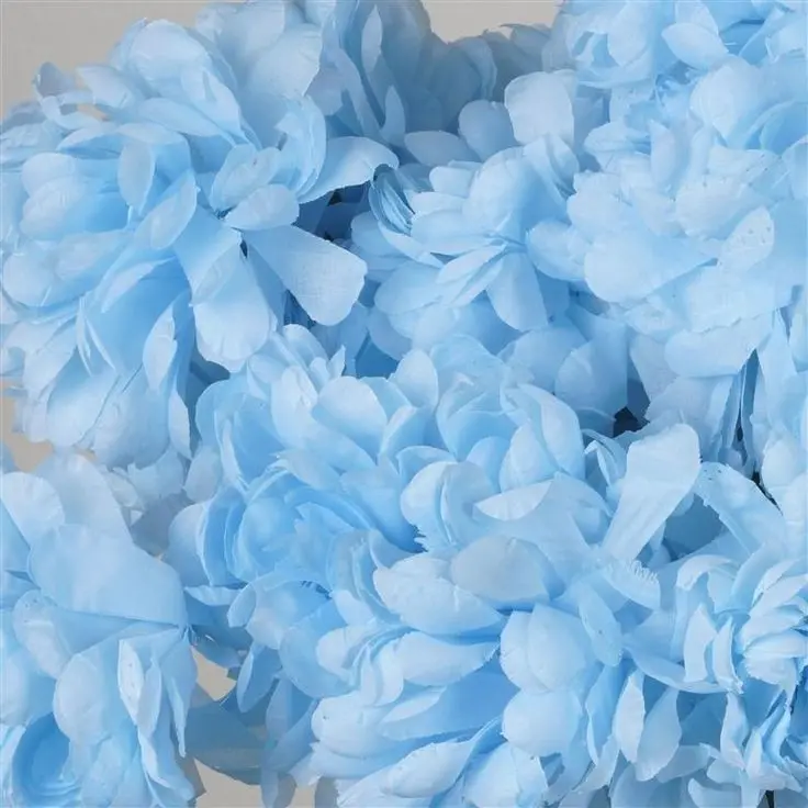 Light blue petals wallpaper HD