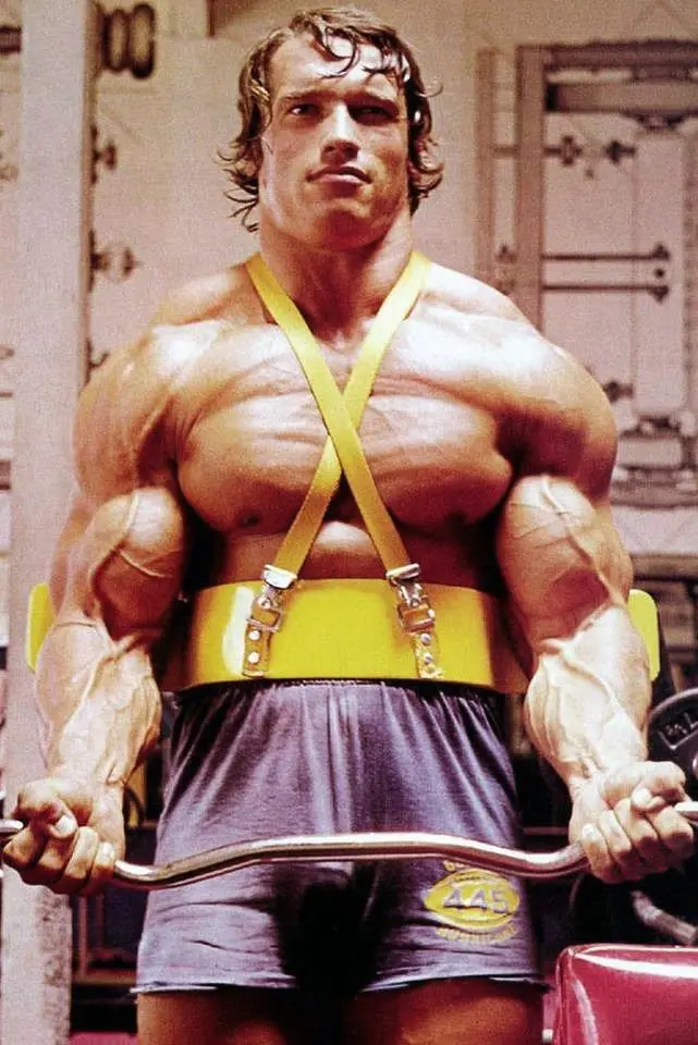 High Quality Arnold Schwarzenegger Pictures For Presentations