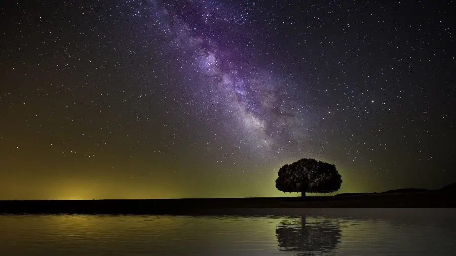 Download single tree sea galaxy wallpaper