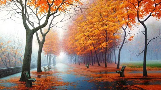 Beautiful rainy autumn days photography collection