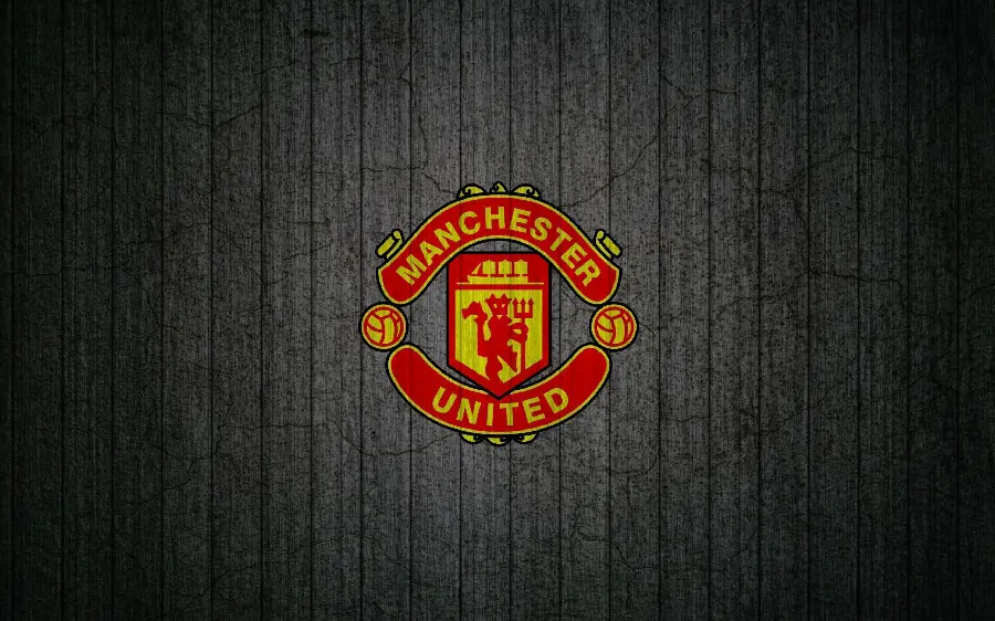 High Quality Manchester United FC Image for Profile