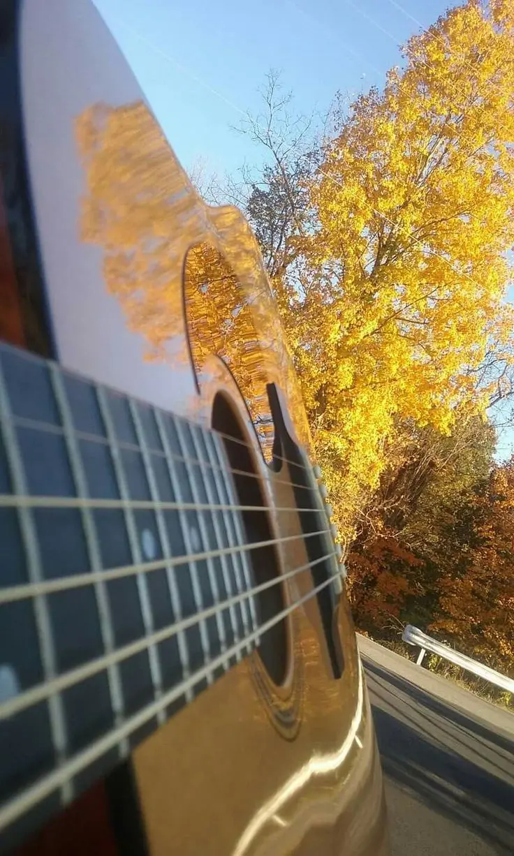 Luxury Guitar Image for International Guitar Day