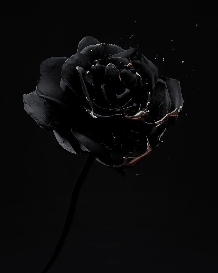 Black Rose Condolence Image