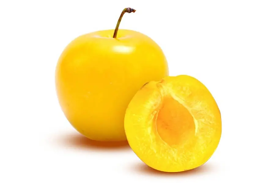 Download photo of yellow plum delicious fruit in high quality