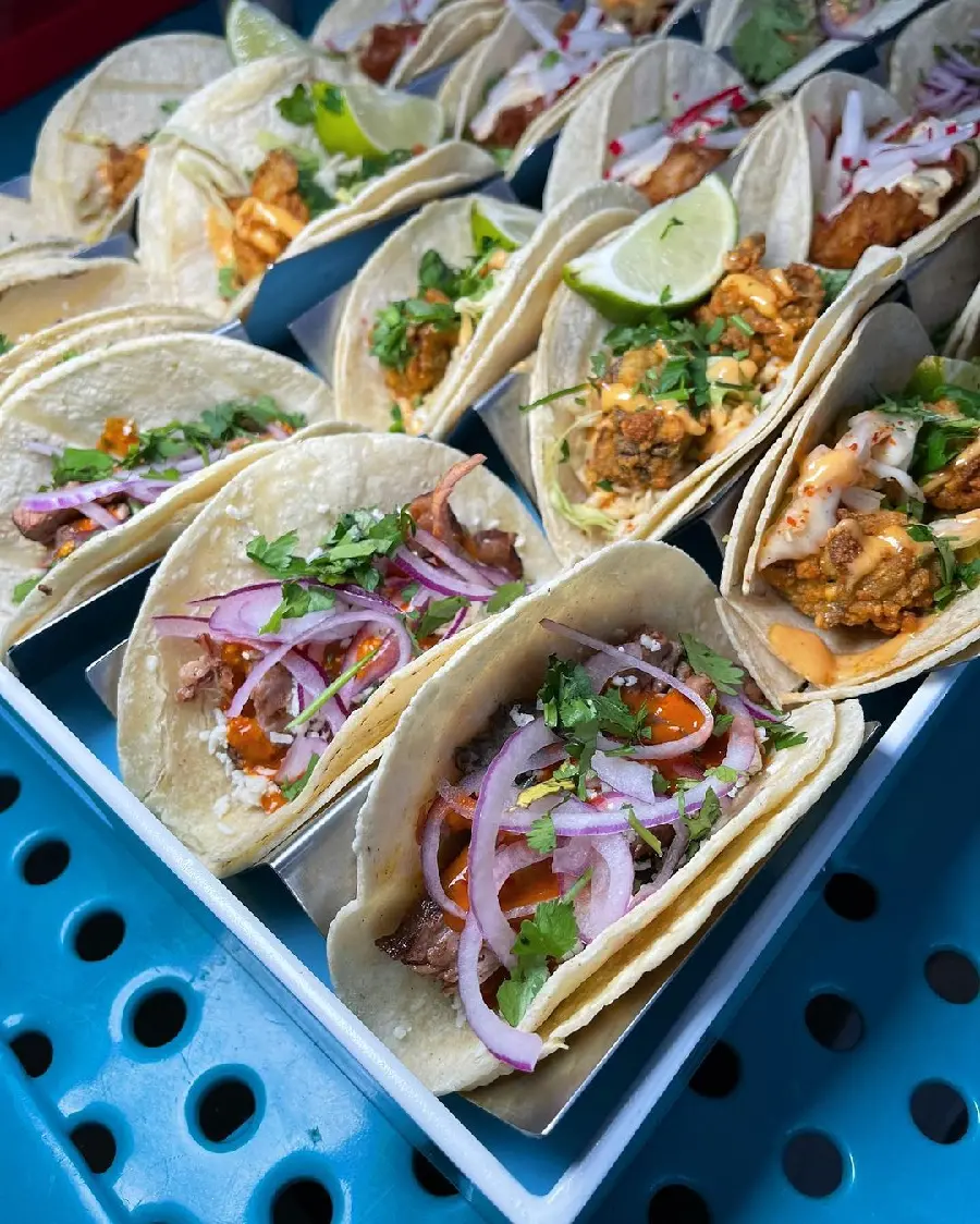 High Quality Mexican Taco Bread Photo