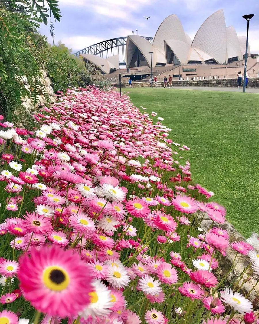 Sydney Opera Venue HD Photo