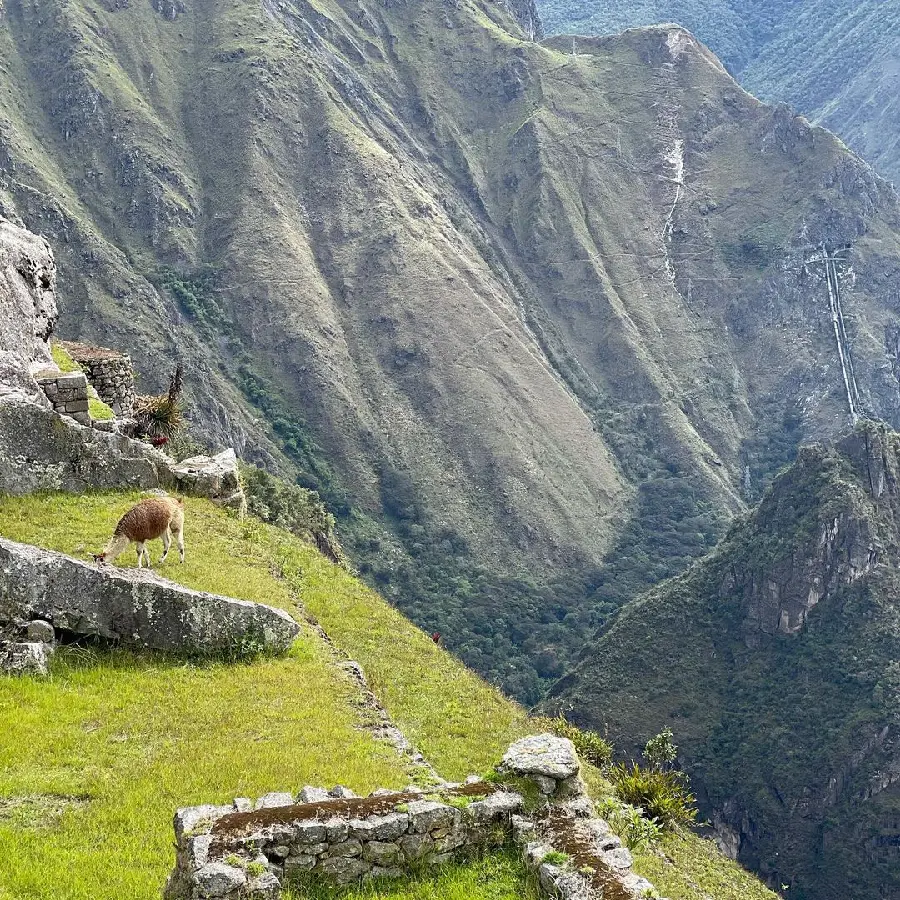 Machu Picchu City Photo World Wonders