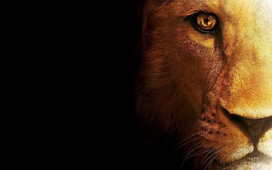 Lion Telegram Profile Pics in HD