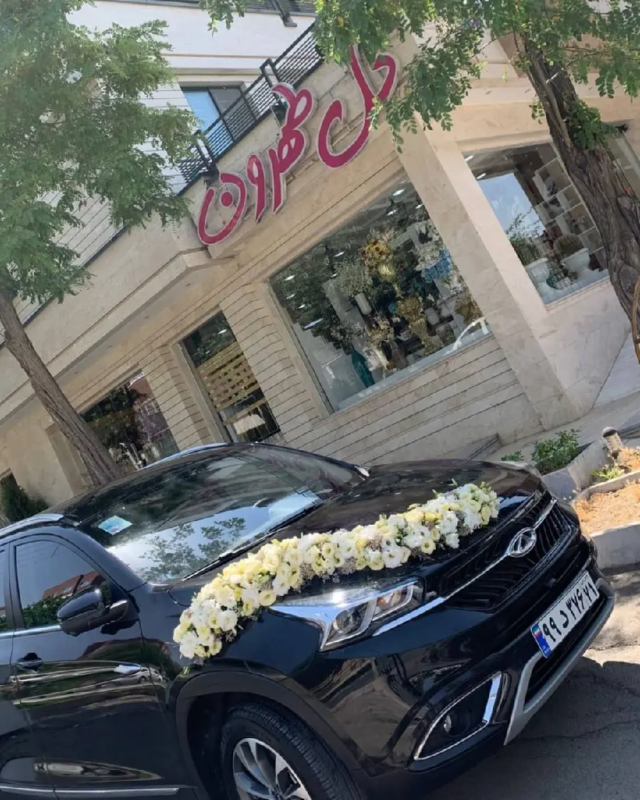 Newest Photo of Cool Wedding Car Decoration in High Quality