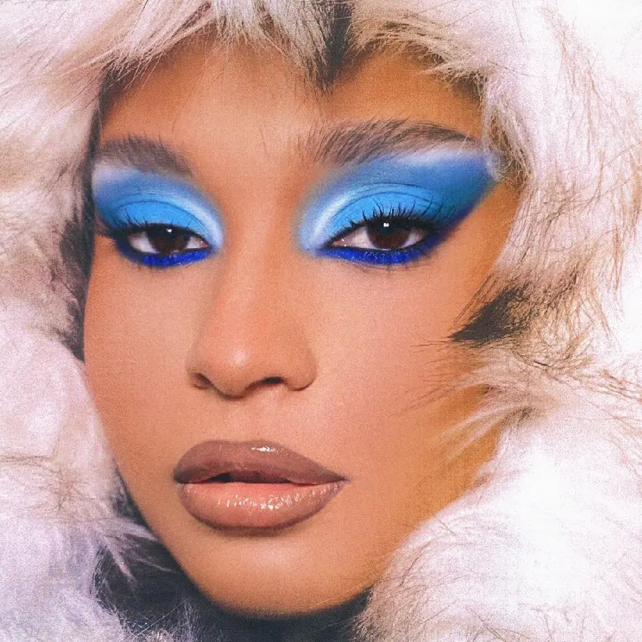 Very Beautiful Makeup Face Photo For Educational Graphics
