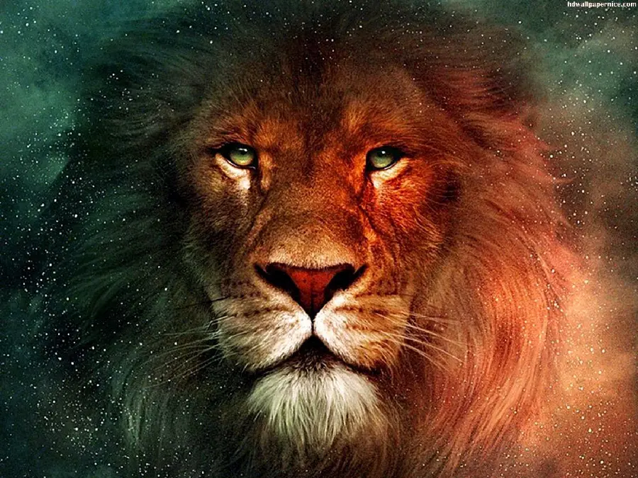 Lion Galaxy High Quality Desktop Wallpaper