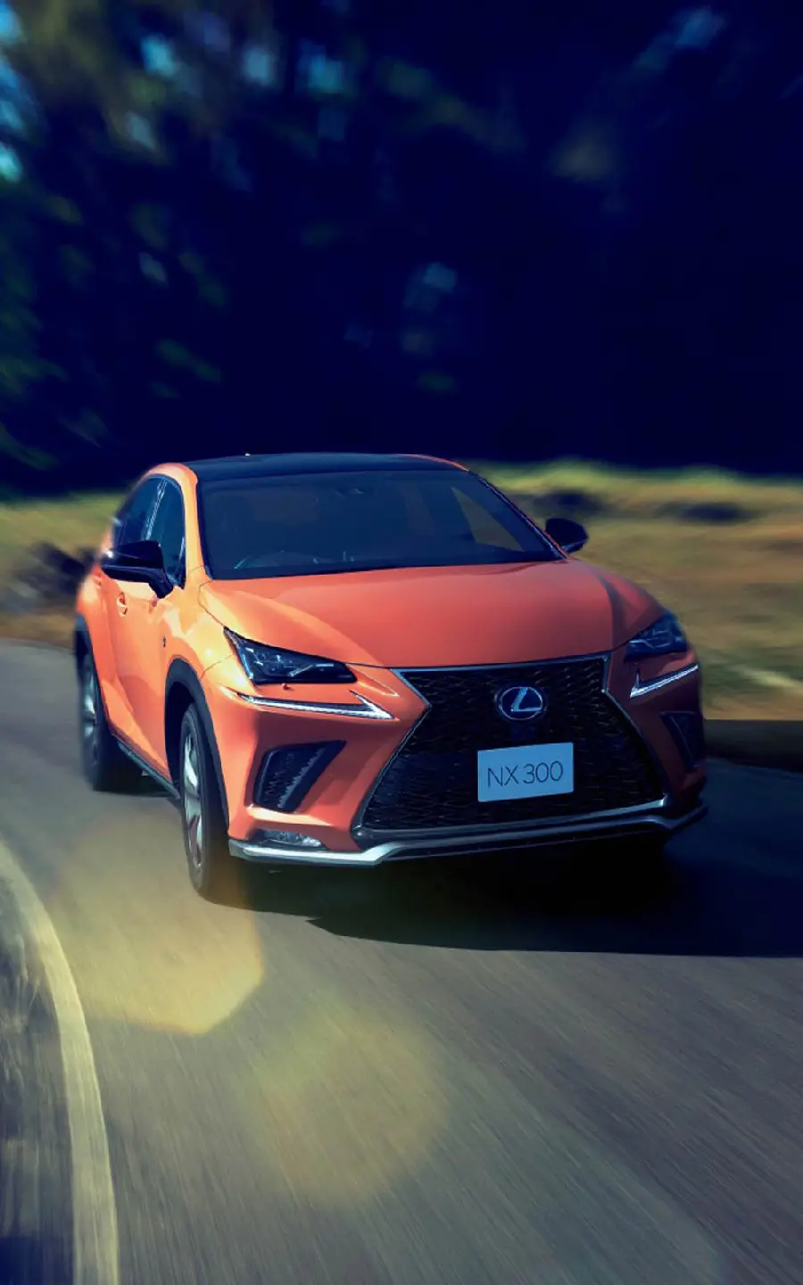 Lexus NX 300 crossover photo HD