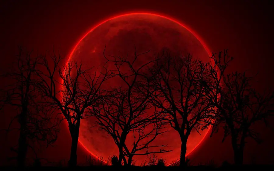 Close Up Blood Moon Photo With Surface Details