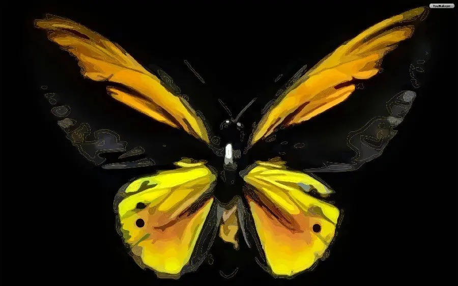 Fantasy Butterfly Profile Picture with Artistic Enhancements