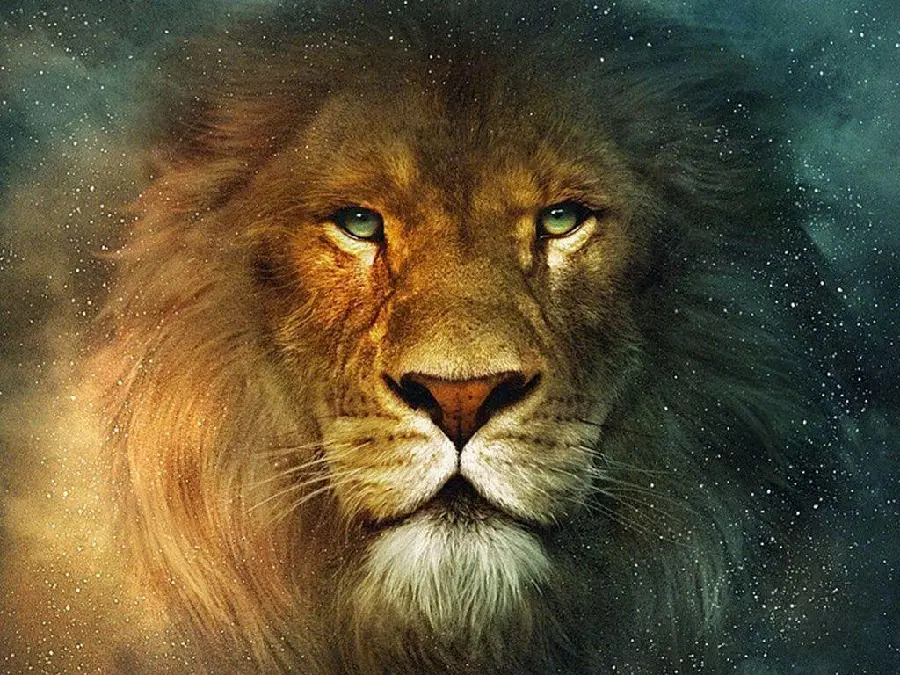 Lion Jungle Profile Images in HD