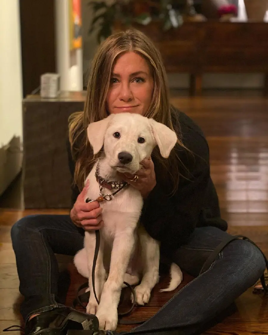 Jennifer Aniston Rachel Green Friends Photo