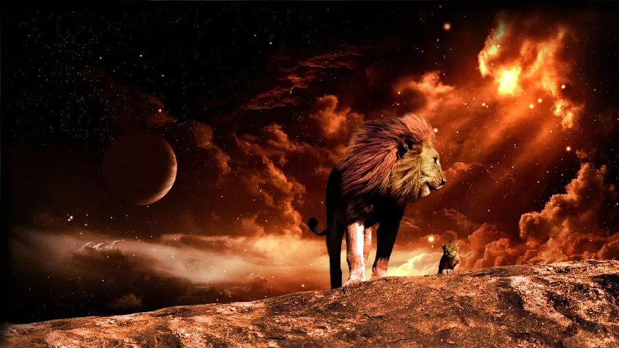 Lion Galaxy HD Wallpaper Premium Download