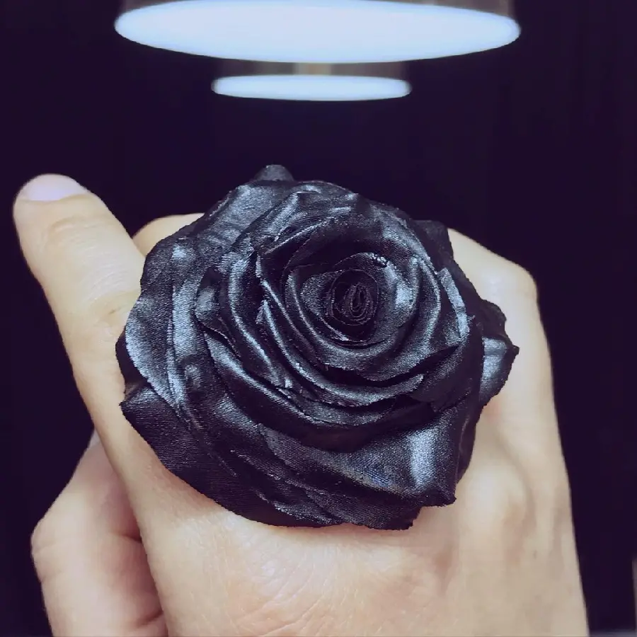 Beautiful Black Rose Profile Picture