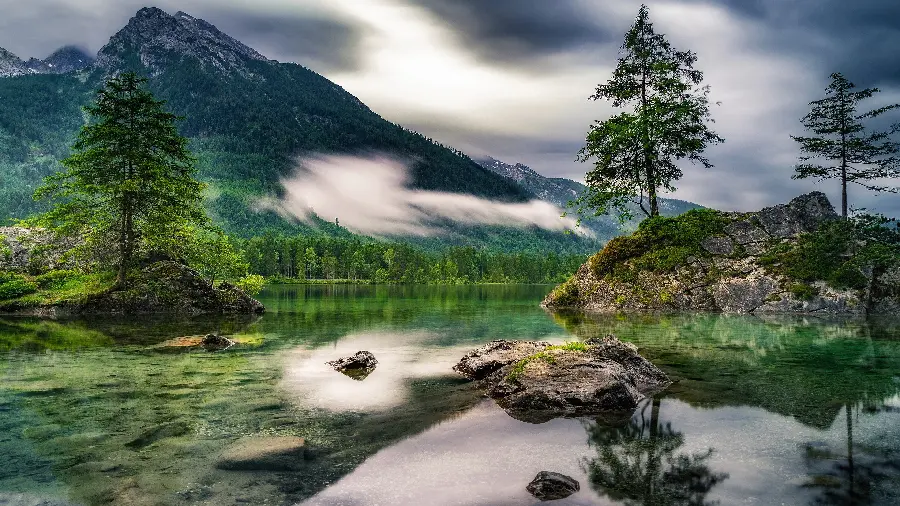 4K mountain tree ocean Windows 11 wallpaper