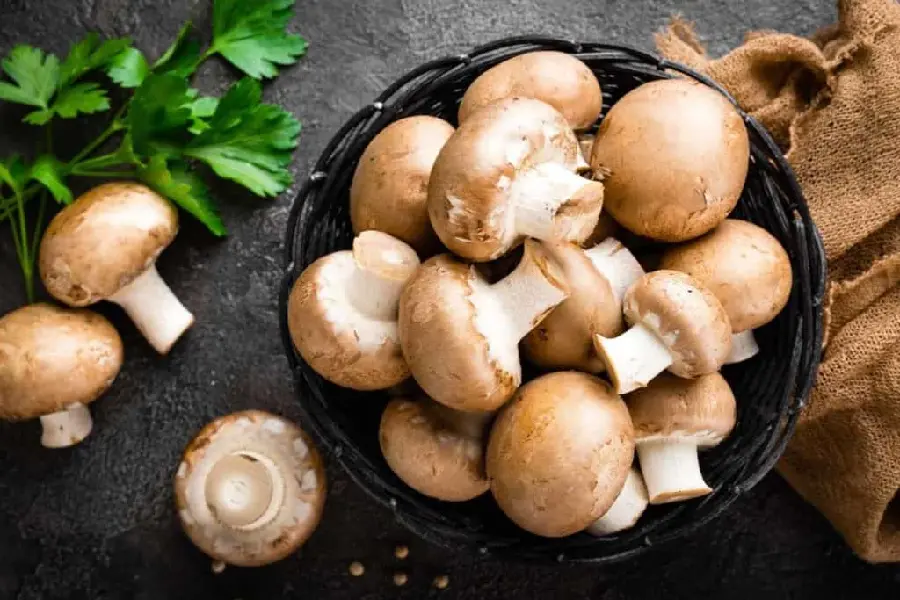 Crimini Mushroom Photo Golden Italian