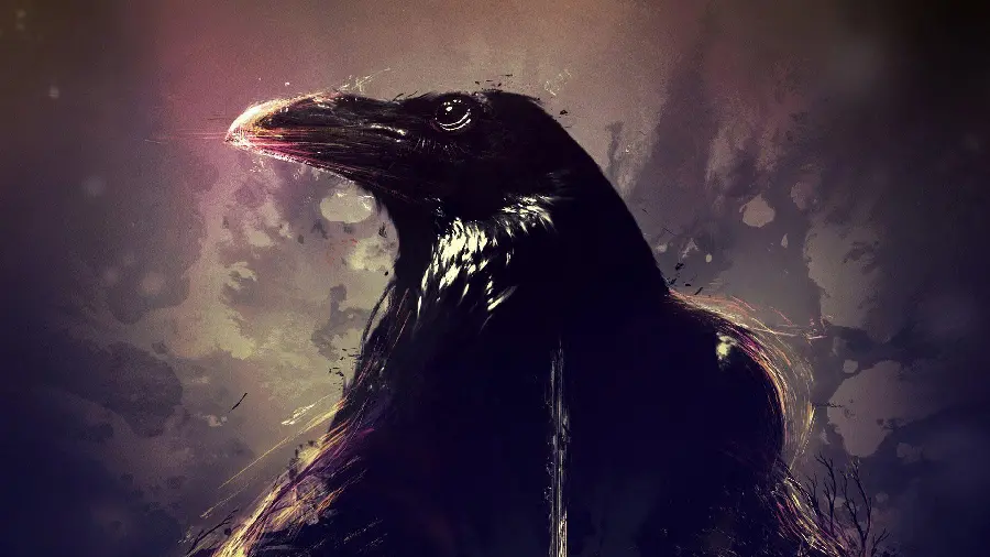 Crow Profile Picture for Social Media Accounts