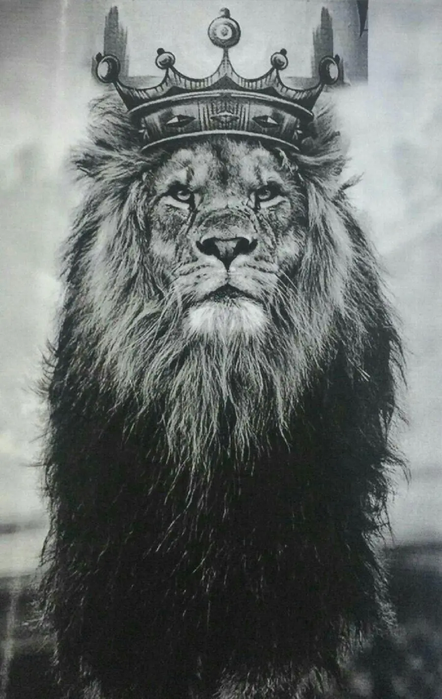 Black and White Crowned Lion for Profile