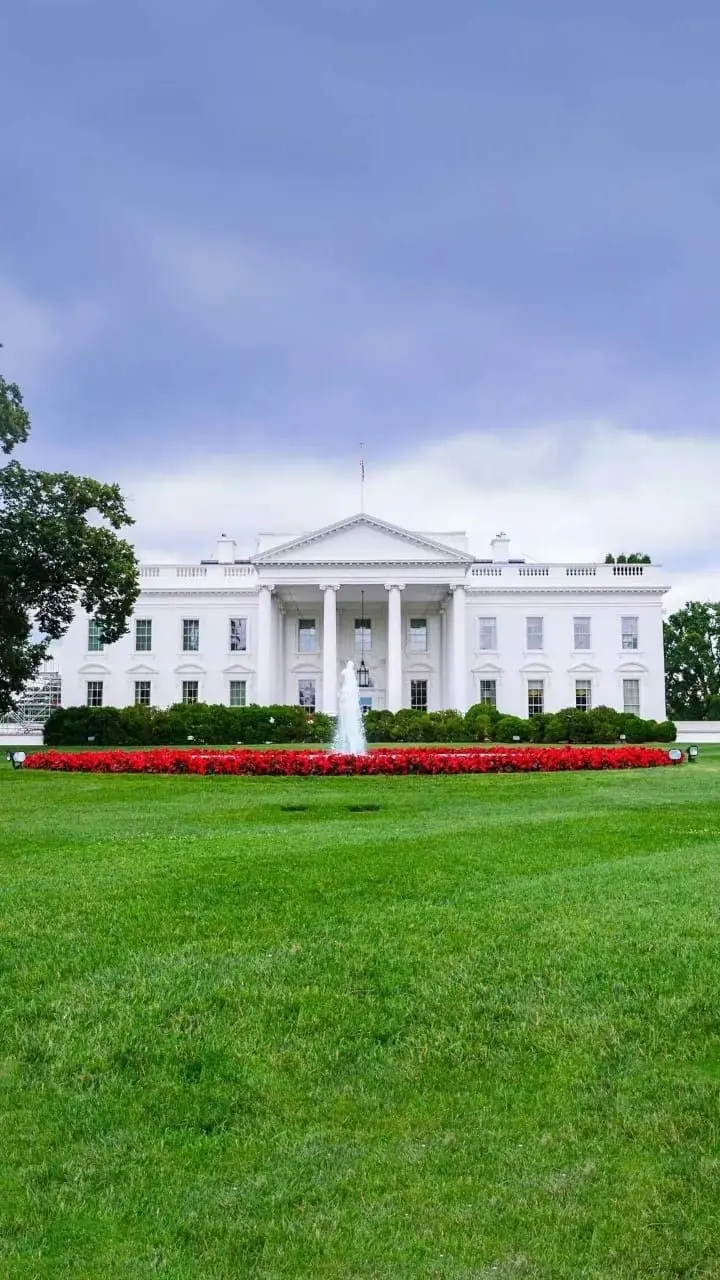 Download White House Washington DC Photo