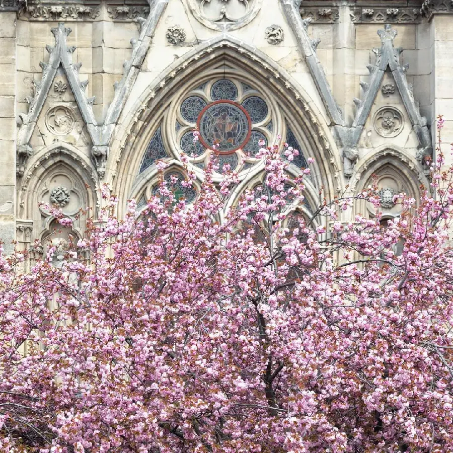 Old Notre Dame Cathedral Paris France Photo