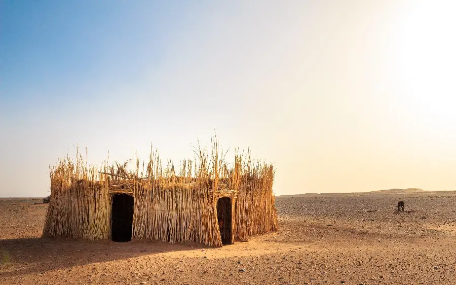 Best Quality Desert Wallpaper for Profile