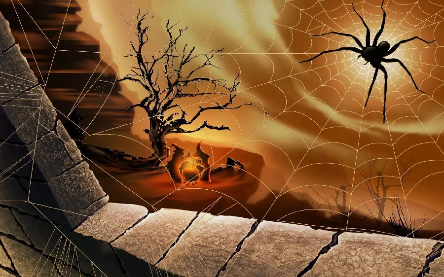 Black Spider Wallpaper for Desktop Background in HD Quality