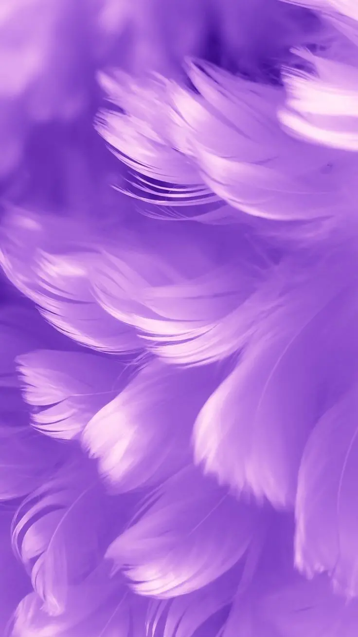 Exquisite purple wallpaper in premium quality