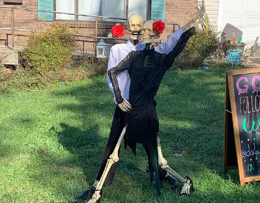 High Quality Realistic Human Skeleton Shop Display Photo