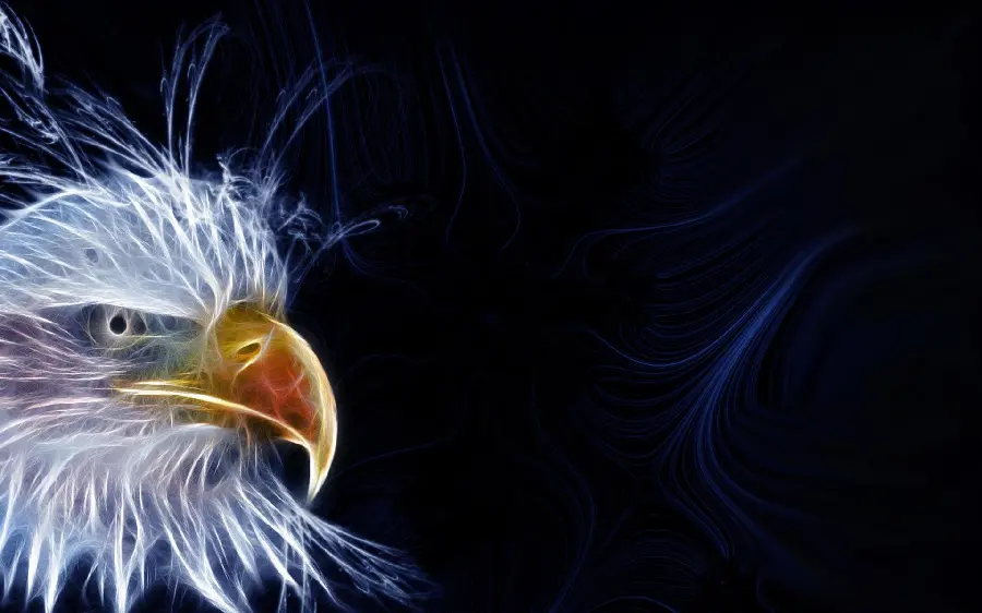 Eagle Profile Picture for Social Media and Avatars