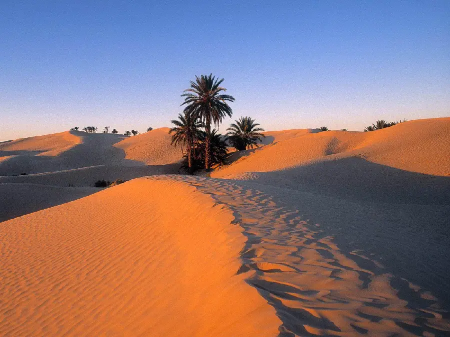 Desert and Arid Landscape Wallpaper