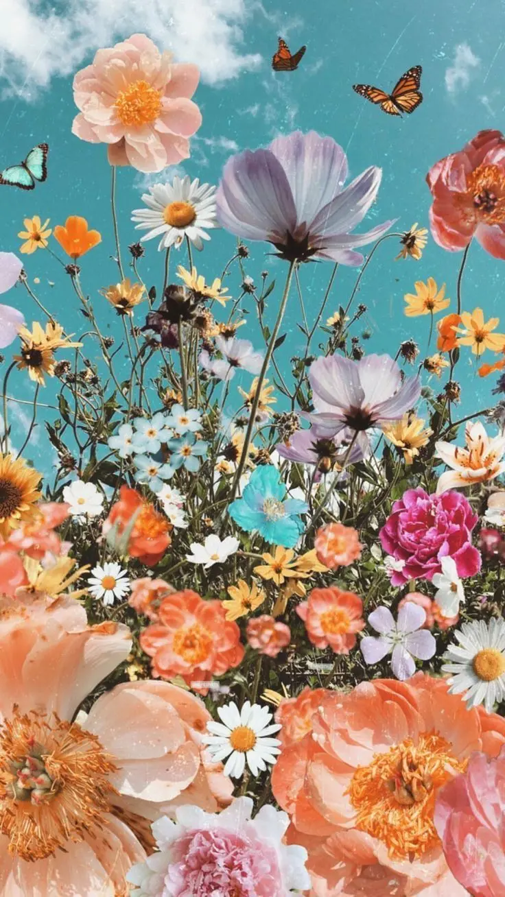 Flower and butterfly photo for WhatsApp profile