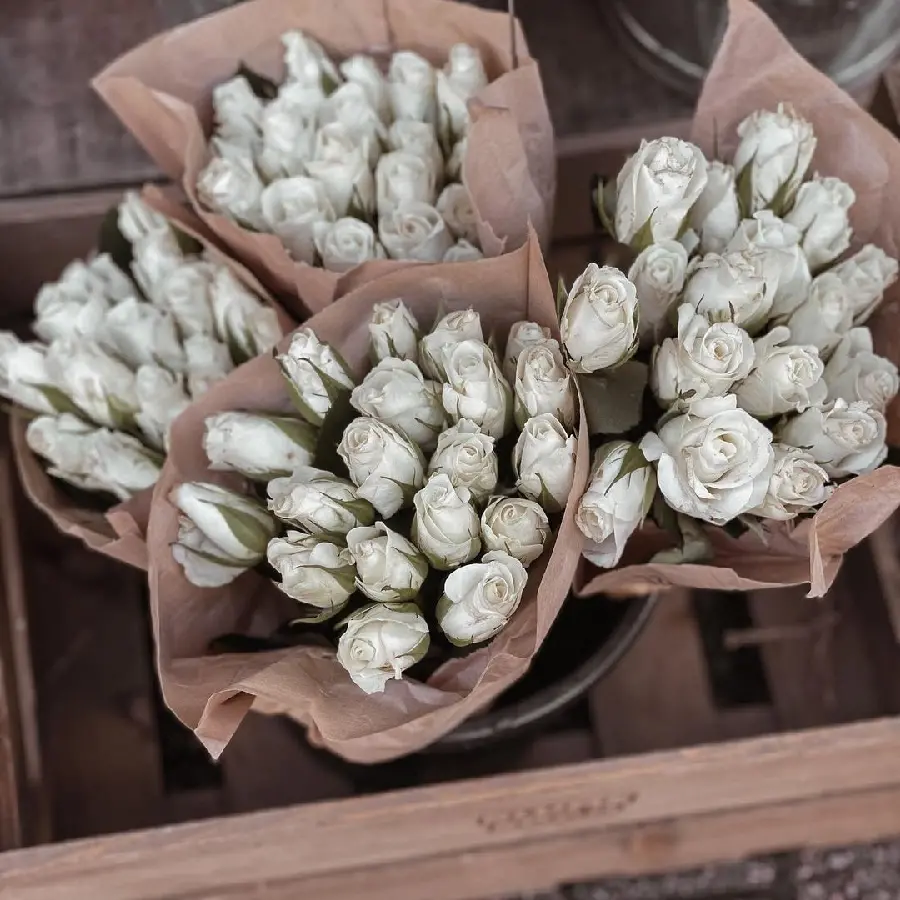 Beautiful White Rose Bouquet Best Quality
