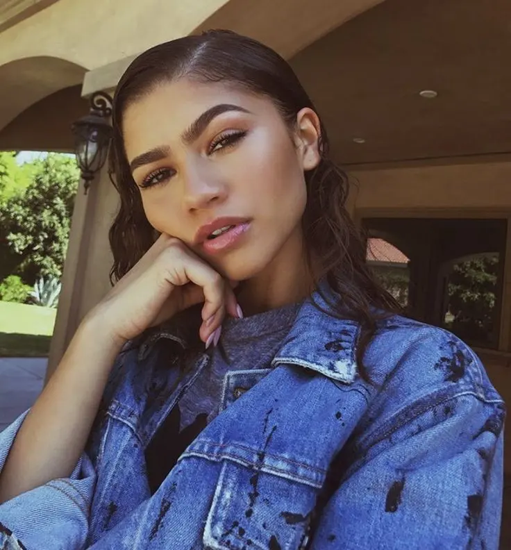Zendaya Acting Career Photos From Disney To Hollywood