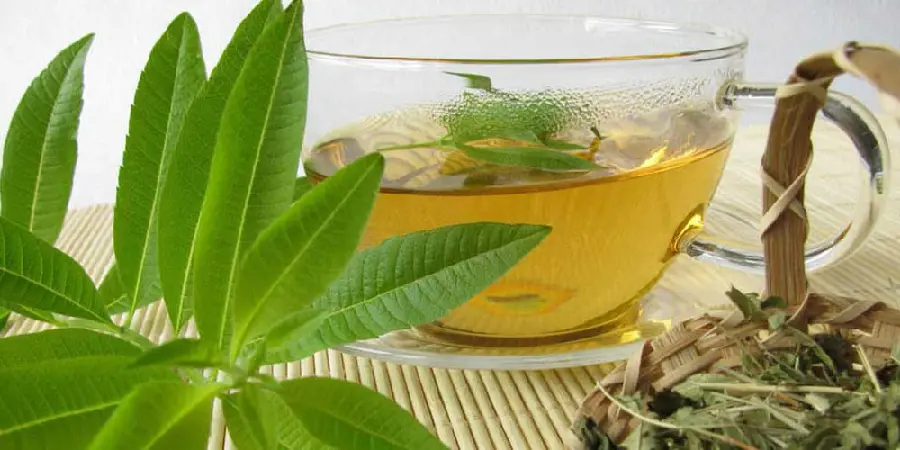 Quince and Lemon Tea Image and Its Medicinal Properties
