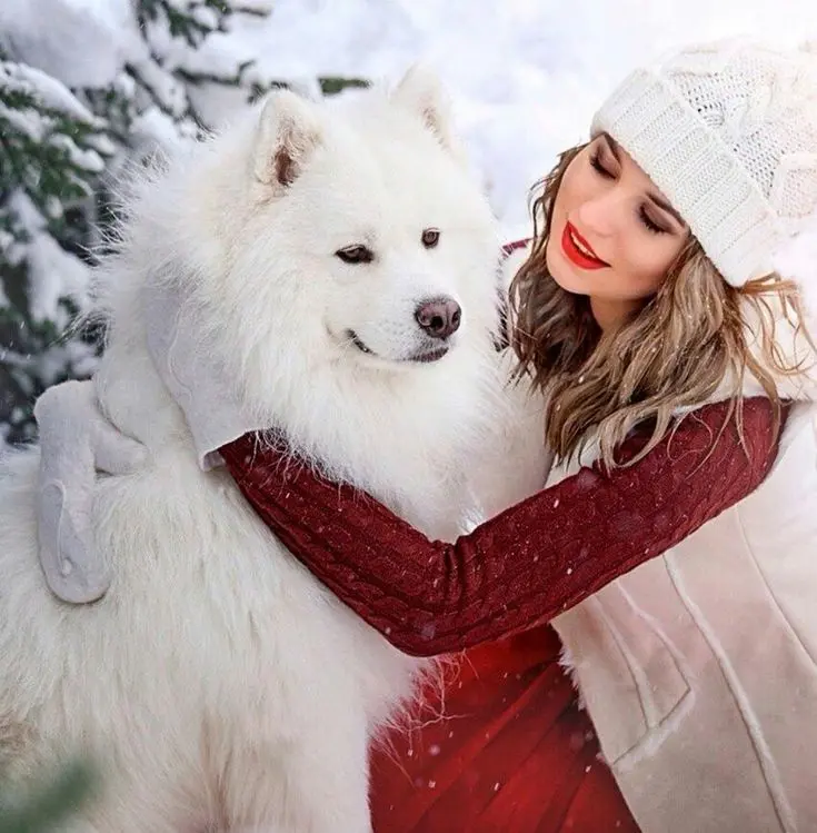 Girl with dog picture for Telegram and Instagram profile