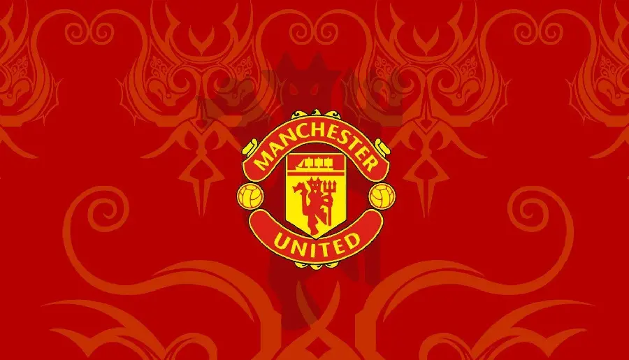 Manchester United FC Badge and Flag Image
