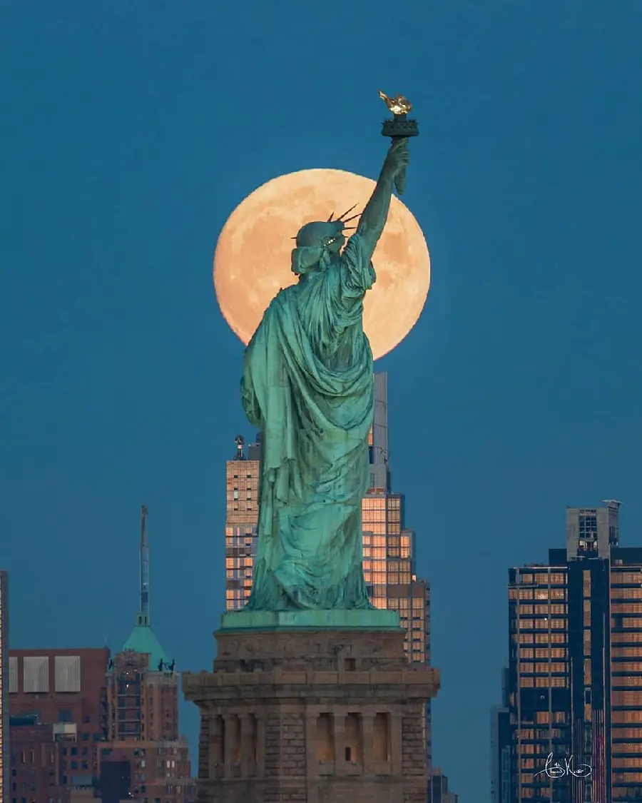 Unique Statue of Liberty Profile Picture for Social Media